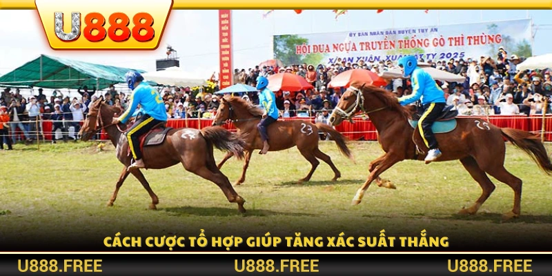 Chiến thuật cược kết hợp nâng cao cơ hội chiến thắng