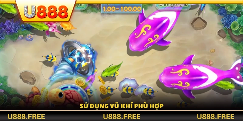 Lựa chọn và kết hợp vũ khí hiệu quả theo từng loại cá