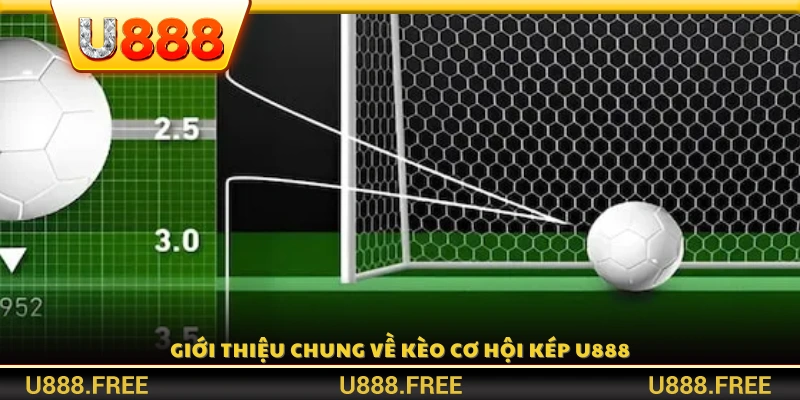 Tổng quan về hình thức cược cơ hội kép tại U888