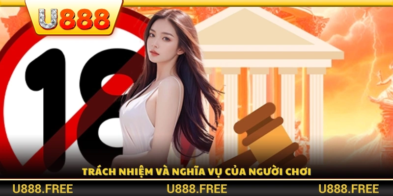 Nghĩa vụ của người chơi trong chính sách 